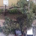 Sul Informação - Depressão Bernard: 61 ocorrências registadas no Algarve até às 15h00