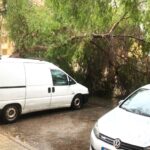 Sul Informação - Depressão Bernard: 61 ocorrências registadas no Algarve até às 15h00