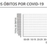 Sul Informação - Algarve tem 15 novos casos de Covid-19