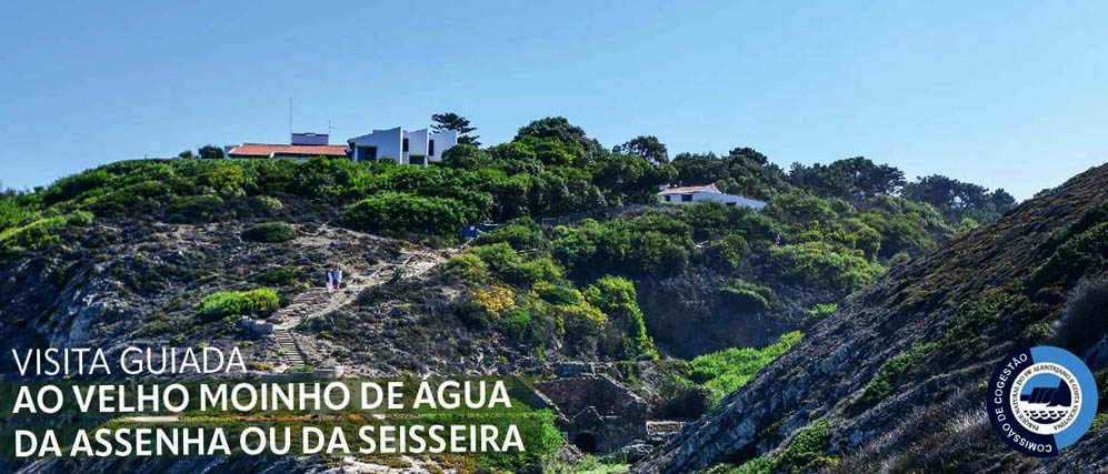 Sul Informação - Odemira promove visita guiada ao velho moinho de água da Praia da Amália