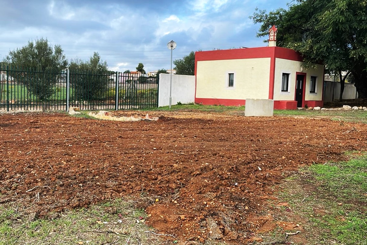 Sul Informação - Alunos do Algoz plantam mini floresta que é uma sala de aula