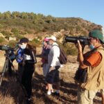 Sul Informação - Festival de Observação de Aves & Atividades de Natureza volta a Sagres em Outubro