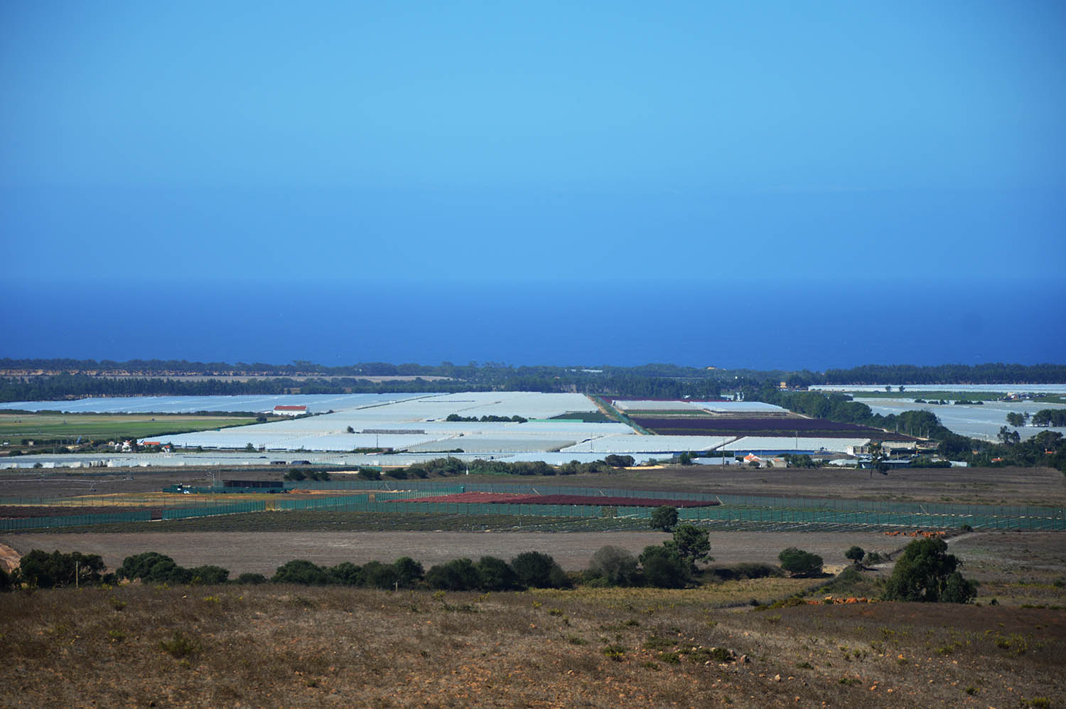 Sul Informação - ICNF já detetou «dezenas de irregularidades» no Sudoeste Alentejano e Costa Vicentina