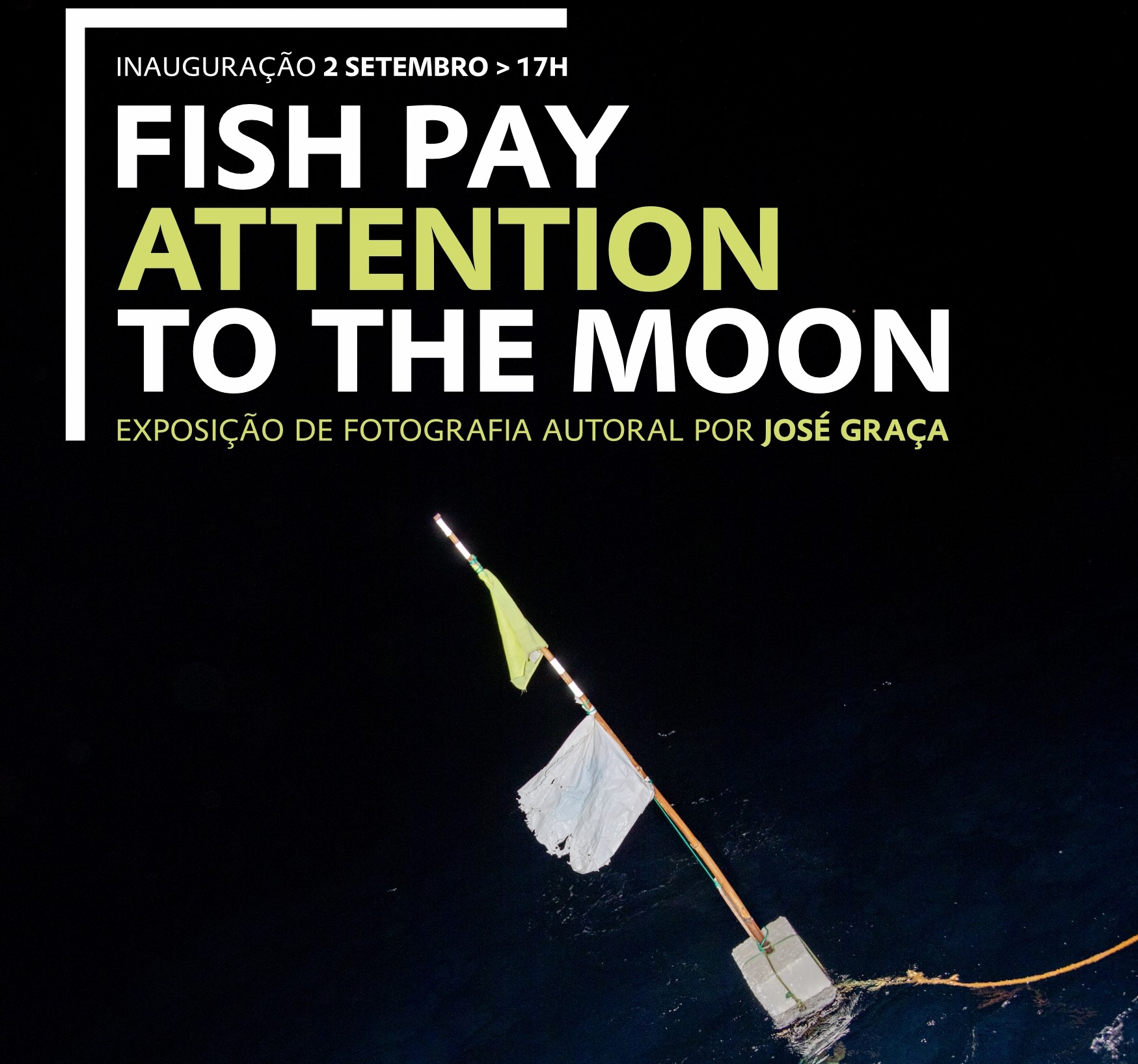 Sul Informação - O «impressionante mundo da pesca do polvo» vai ser visto em Olhão