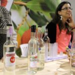 Sul Informação - FACECO foi «mais um sucesso» que levou 32 mil visitantes a S. Teotónio