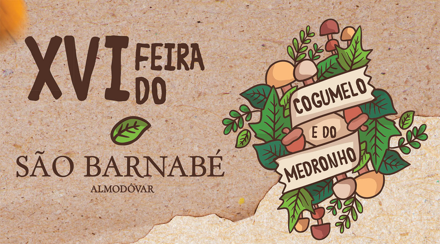 Sul Informação - Feira do Cogumelo e do Medronho, que agora tem três dias, regressa a São Barnabé