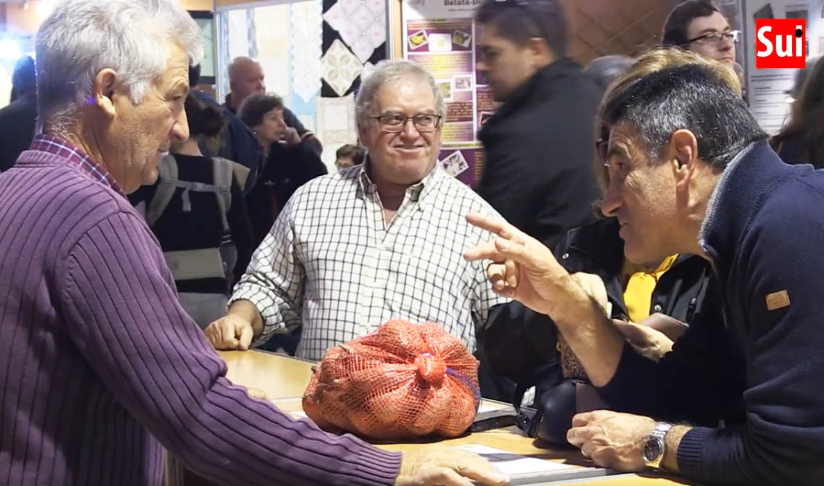 Sul Informação - Há festival em Aljezur, a terra onde até a batata-doce «é um poema»