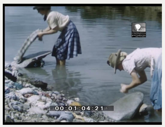 Sul Informação - Quer saber como era o Algarve há 60 anos? (com vídeo)