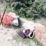 Sul Informação - Vigilantes de Natureza fiscalizam pescadores lúdicos e profissionais na Costa Sudoeste
