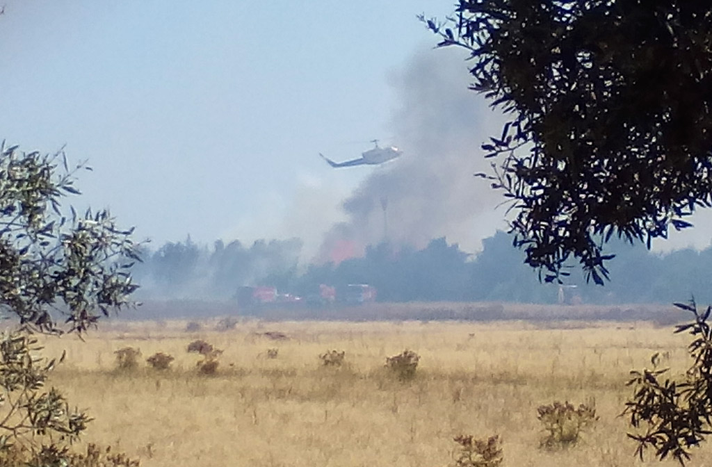 Sul Informação - Incêndio à entrada da cidade de Faro continua por controlar