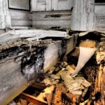 Sul Informação - FOTOGALERIA: Veja como era o Palácio da Fonte da Pipa antes do incêndio