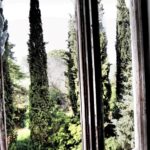 Sul Informação - FOTOGALERIA: Veja como era o Palácio da Fonte da Pipa antes do incêndio