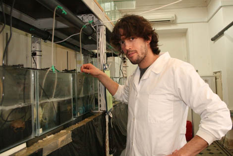 Sul Informação - Aluno da Universidade de Coimbra vence desafio promovido pela Sociedade Mundial de Aquacultura