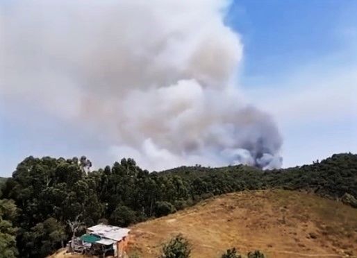 Sul Informação - Incêndio de São Marcos da Serra está a lavrar «mesmo com muita intensidade»