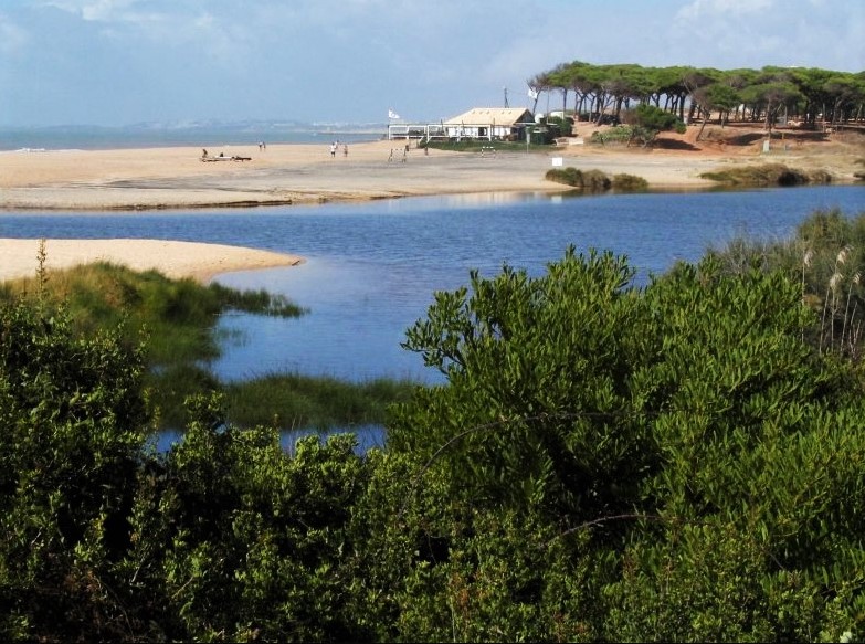 Sul Informação - Loulé suspende PDM para travar resort na foz do Almargem e Trafal, Novo Banco não desiste