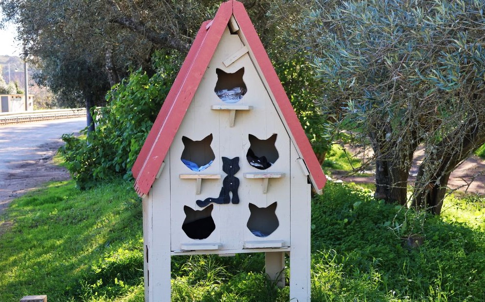 Sul Informação - Câmara de Silves e Estabelecimento Prisional colocam abrigos para gatos no concelho