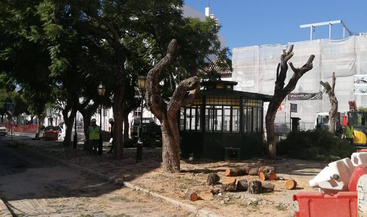 Sul Informação - Corte de árvores do Largo da Palmeira gera nova polémica entre Glocal e Câmara de Faro