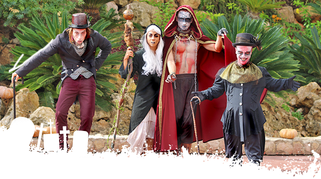 Sul Informação - Este ano, Halloween rima com Zoomarine