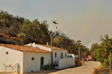 Sul Informação - Treze meios aéreos combatem fogo em São Brás e Tavira
