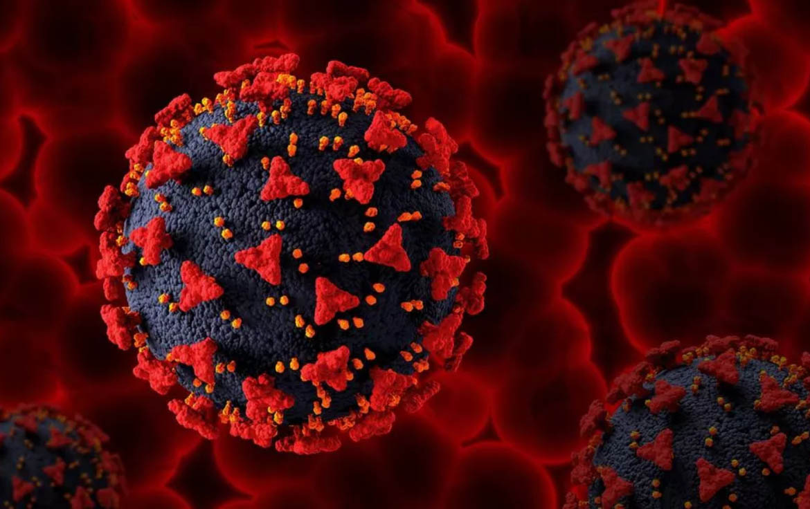 Sul Informação - Internamentos por hepatite B crónica subiram devido à migração de zonas com elevada prevalência