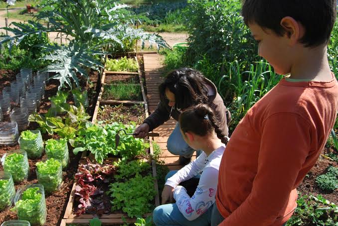 Sul Informação - Alunos de Olhão celebraram a primavera e o Dia da Árvore na Casa João Lúcio