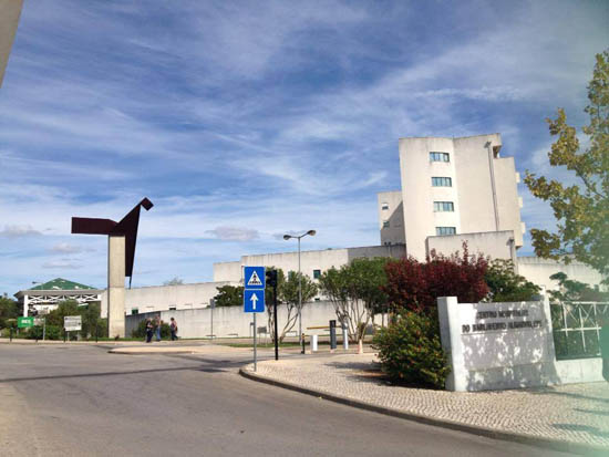 Sul Informação - Governo não faz a vontade a Joaquina Matos de acabar com o CHA (até ver)