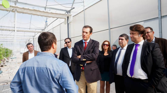 Sul Informação - IEFP assina acordos com CAP e Agricultura para garantir mão de obra e formação