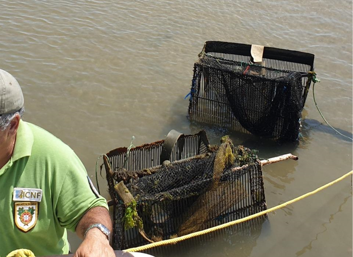 Sul Informação - ICNF apreende cinco arrastos de cintura na Ria Formosa
