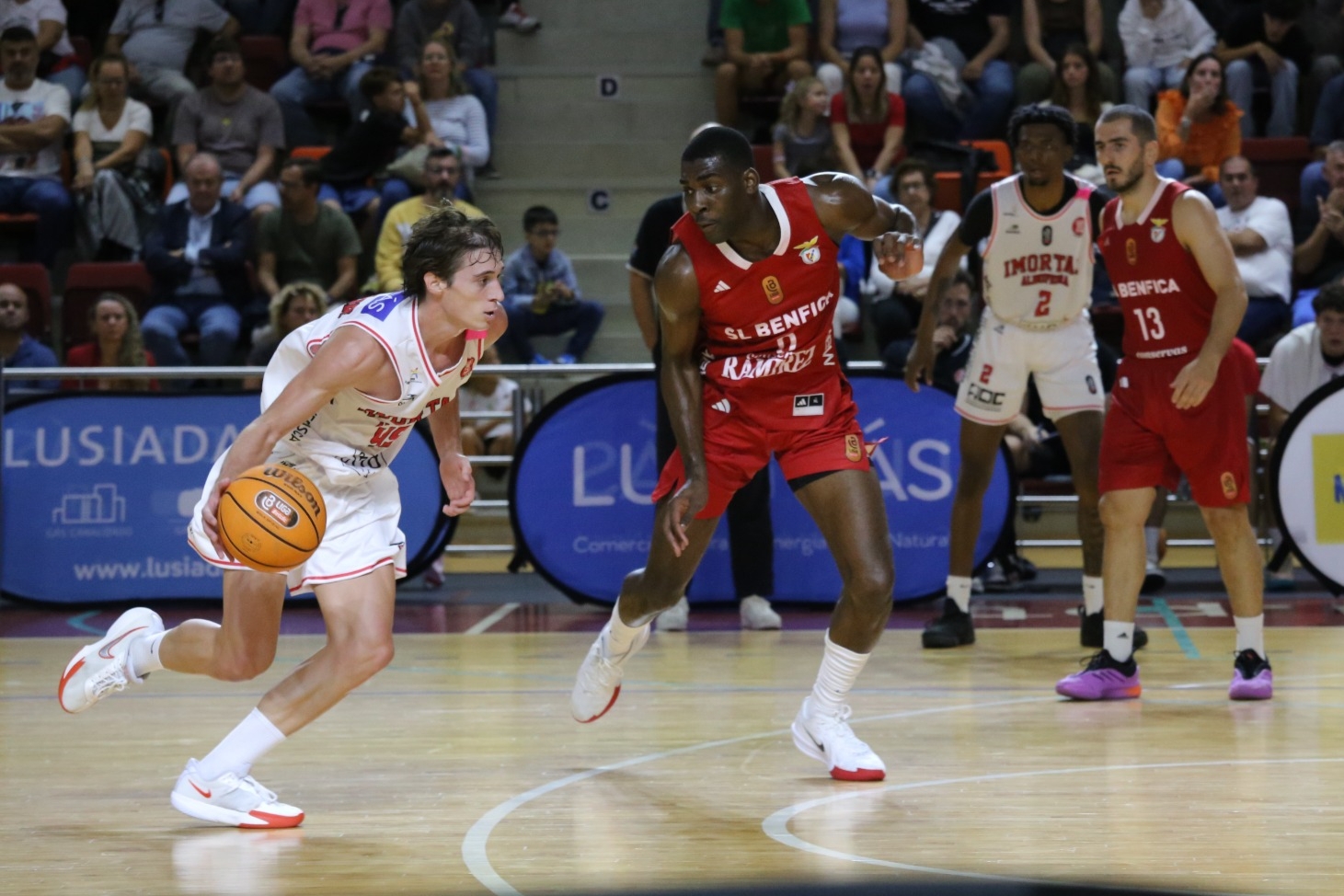 Sul Informação - Imortal perde com Benfica no arranque da Liga de basquetebol
