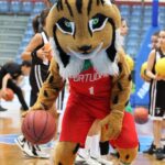 Sul Informação - Imortal está fora da Taça de Portugal de basquetebol