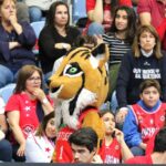 Sul Informação - Imortal está fora da Taça de Portugal de basquetebol