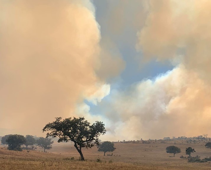 Sul Informação - Quatro meios aéreos combatem incêndio em Almodôvar