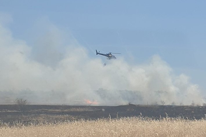 Sul Informação - Incêndio em Armação de Pêra já está controlado