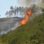 Sul Informação - Fotogaleria: As impressionantes imagens do incêndio de Monchique
