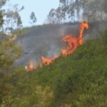 Sul Informação - Fotogaleria: As impressionantes imagens do incêndio de Monchique