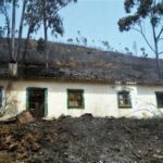 Sul Informação - Fotogaleria: As impressionantes imagens do incêndio de Monchique