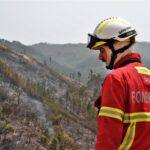 Sul Informação - Fotogaleria: As impressionantes imagens do incêndio de Monchique