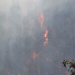 Sul Informação - Fotogaleria: As impressionantes imagens do incêndio de Monchique