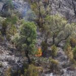 Sul Informação - Fotogaleria: As impressionantes imagens do incêndio de Monchique