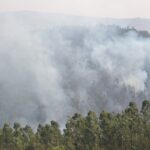 Sul Informação - Fotogaleria: As impressionantes imagens do incêndio de Monchique