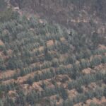 Sul Informação - Fotogaleria: As impressionantes imagens do incêndio de Monchique