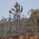 Sul Informação - Fotogaleria: As impressionantes imagens do incêndio de Monchique