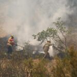 Sul Informação - 11 idosos do Lar da Pereira retirados por precaução devido ao incêndio, casas evacuadas