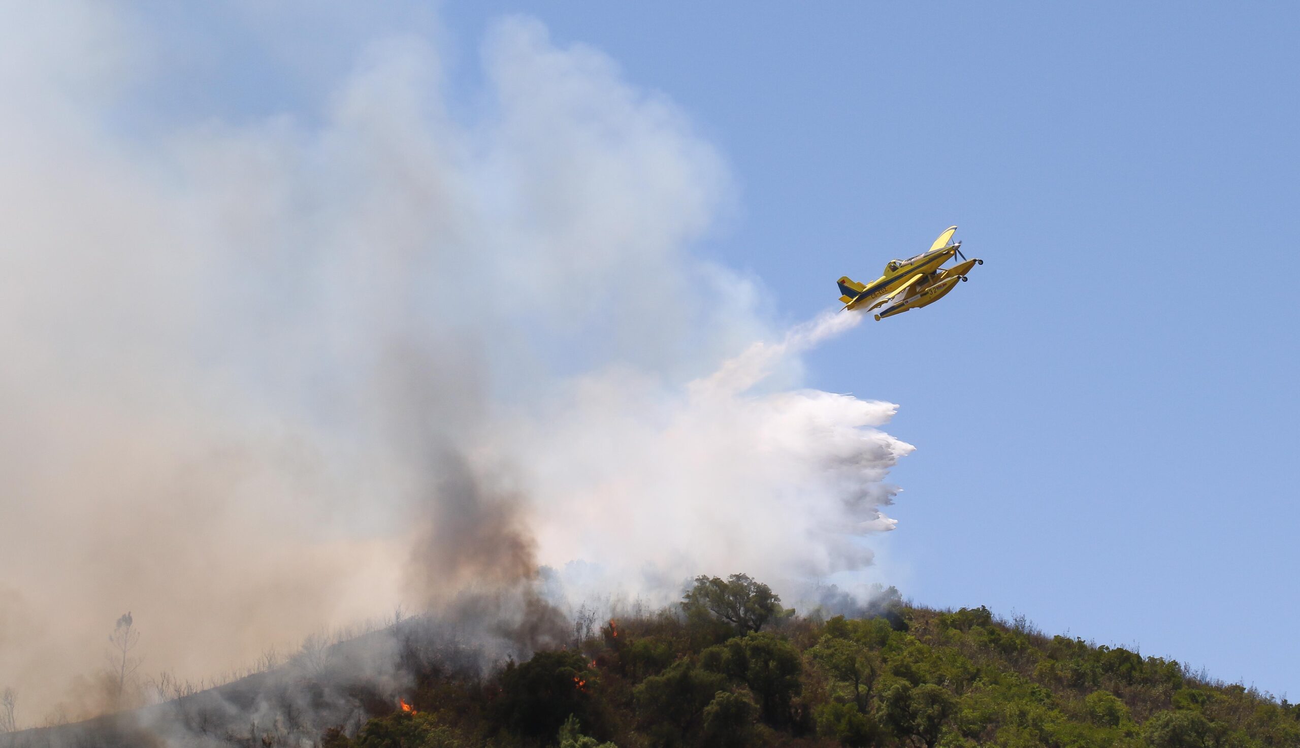 Sul Informação - Incêndio de Sabóia tem duas frentes e «arde com intensidade»