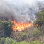 Sul Informação - 11 idosos do Lar da Pereira retirados por precaução devido ao incêndio, casas evacuadas