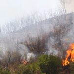 Sul Informação - 11 idosos do Lar da Pereira retirados por precaução devido ao incêndio, casas evacuadas