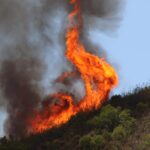 Sul Informação - 11 idosos do Lar da Pereira retirados por precaução devido ao incêndio, casas evacuadas