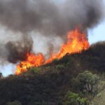 Sul Informação - 11 idosos do Lar da Pereira retirados por precaução devido ao incêndio, casas evacuadas
