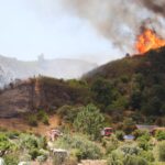Sul Informação - 11 idosos do Lar da Pereira retirados por precaução devido ao incêndio, casas evacuadas