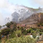 Sul Informação - 11 idosos do Lar da Pereira retirados por precaução devido ao incêndio, casas evacuadas